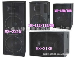 rvs,專業(yè)工程音響,演出音響,遠程音響 舞臺專業(yè)音響 工程音響價格