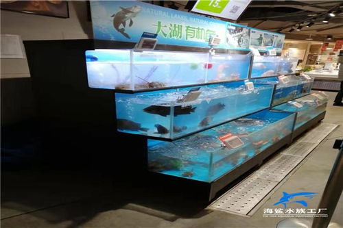 株洲海鮮缸定做價格 定做 制作 設(shè)計 安裝