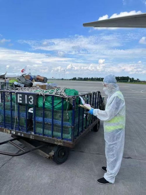 長春機(jī)場多措并舉促進(jìn)貨運(yùn)市場需求和信心恢復(fù)發(fā)展